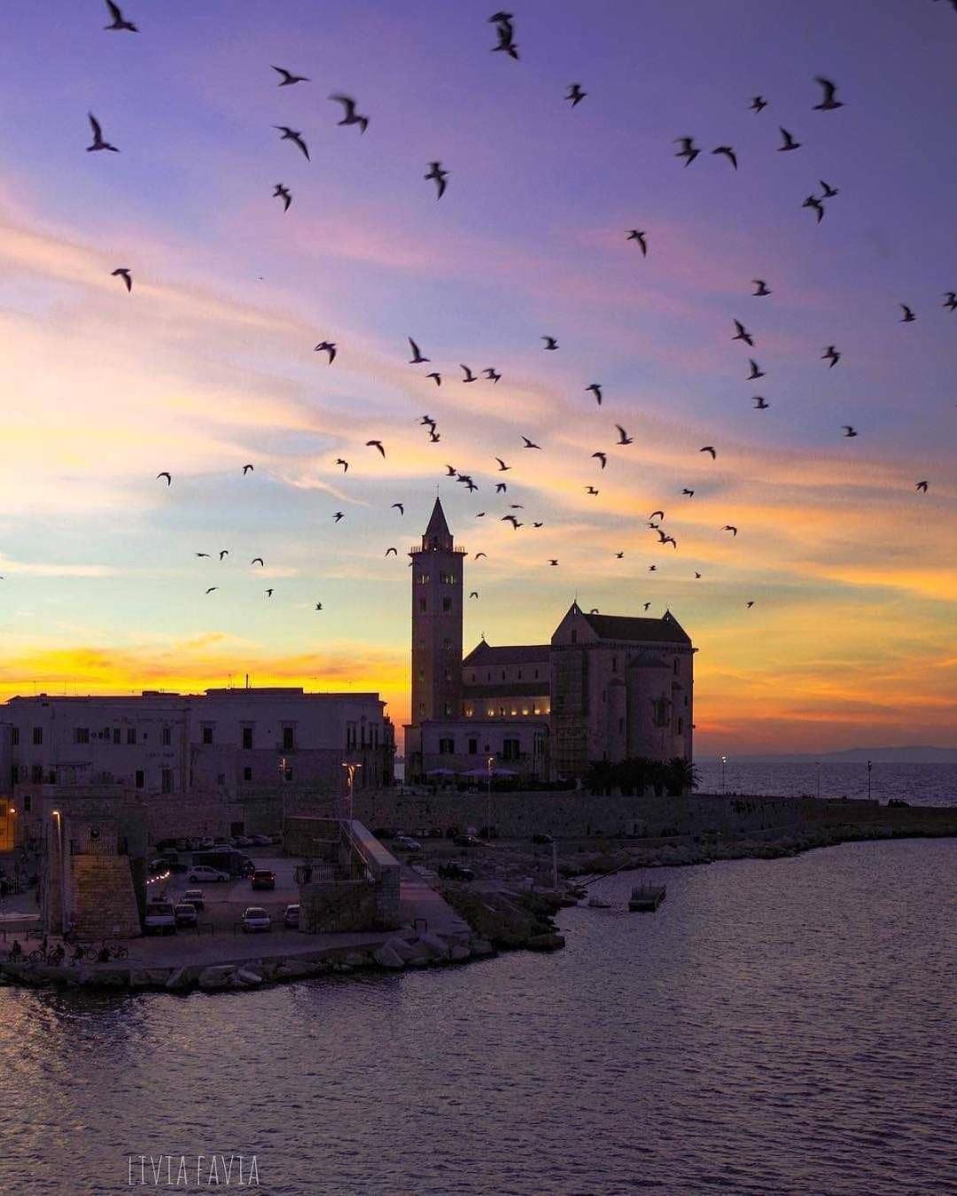 Bed and Breakfast La Soffitta Covelli Trani Zewnętrze zdjęcie